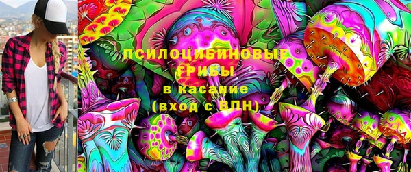 стафф Медвежьегорск